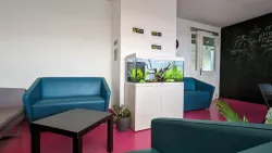 Hôpital Paul Guiraud - Site de Clamart