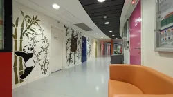 Hôpital Paul Guiraud - Site de Clamart