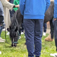 L’équithérapie s’invite à l'UMD Henri Colin sur le site de Villejuif